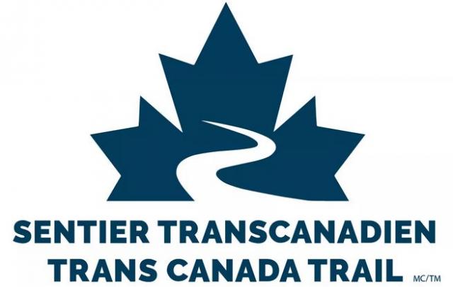 logo.JPG